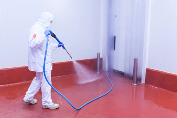 Best Boat and Dock Cleaning  in Ogden, KS