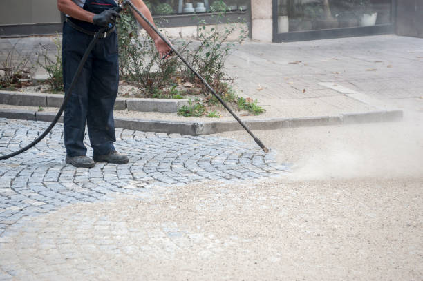 Best Winterizing Services  in Ogden, KS
